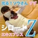 光る！ゾウさん