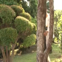 美人若女将とエロ付宴会  前編