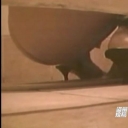 女仕掛人！有名デパート激ヤバ放尿盗撮！ 2