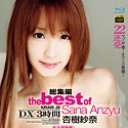 KIRARI 29 The Best of 杏樹紗奈