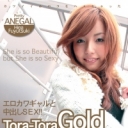 TORA-TORA-GOLD Vol.022 友達に相談したらこんなことに...