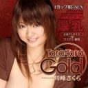 TORA-TORA-GOLD Vol.026 大爆乳ヘビーファック
