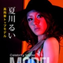 モデルコレクション