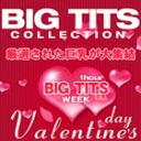 金８天国からのバレンタイン　厳選された巨乳娘が大集結 BIG TITS COLLECTION