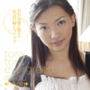 TORA TORA EVERGREEN @YOU