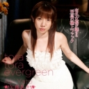 TORA TORA EVERGREEN 止まらない愛欲 矢藤あき