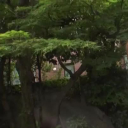 たわわなオッパイ美女と温泉で中出し　後編